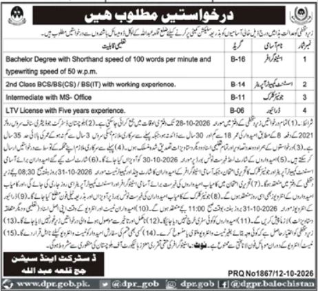 Official District and Sessions Court Killa Abdullah Job Advertisement