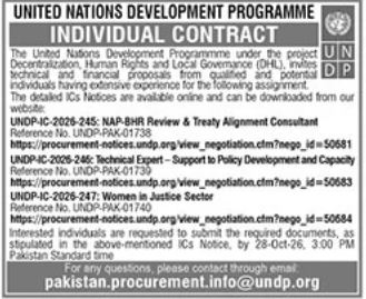 Official UNDP Individual Contract Notice